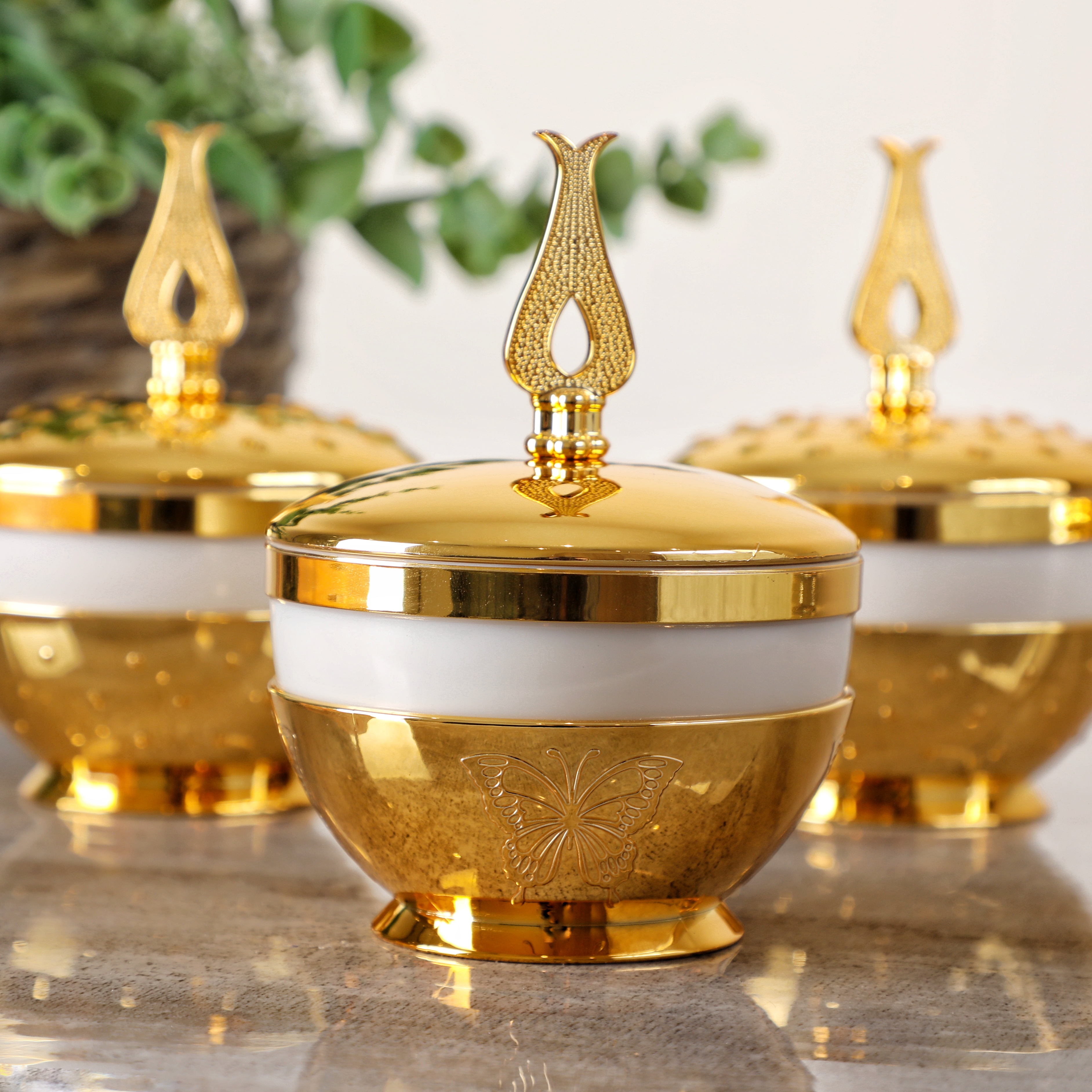 تمرية النجوم فراشة من سوليتير، لون أبيض وذهبي